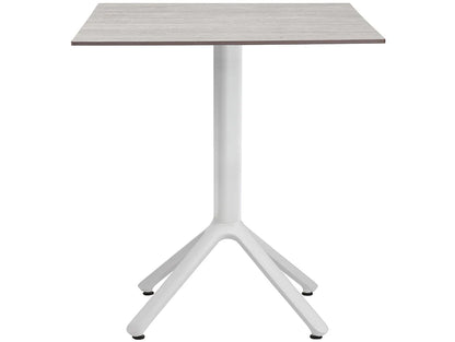 Nemo Table Base