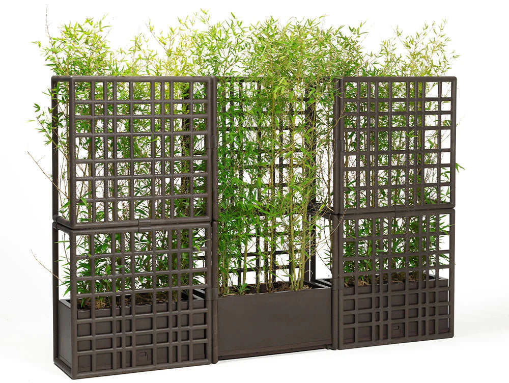 Sipario Divider Planter